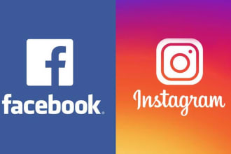 set up facebook and instagram ads for leads and sales