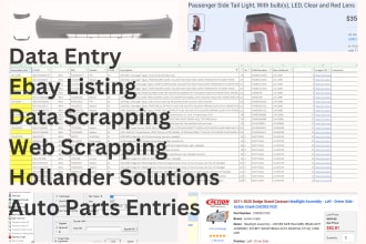 provide accurate auto parts data entry and hollander mapping services