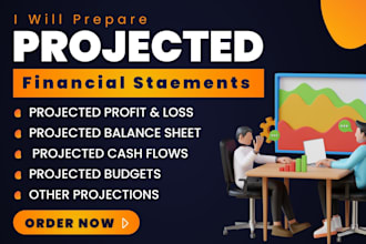 prepare financial statements, forecast, plan, projection, model, profit and loss