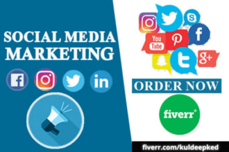do facebook, instagram, tiktok, pinterest ads, content and management