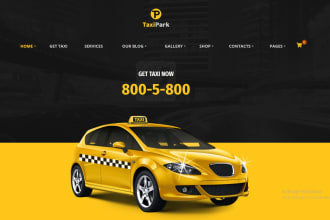 professional car rental website car dealership website chauffeur website, turo