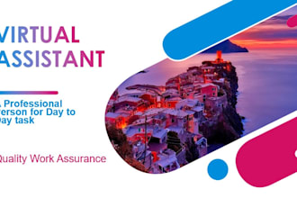 be your virtual assistant and data entry person