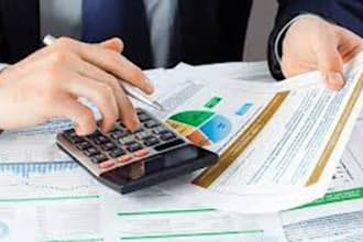 audit, make financial statements and  help in your audit work