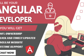 develop your responsive website or portal using angular