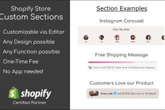 create a custom section in shopify for you, no apps