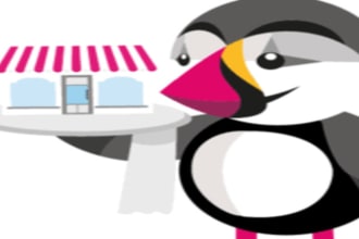 fix  prestashop bugs,  errors, problems, modules