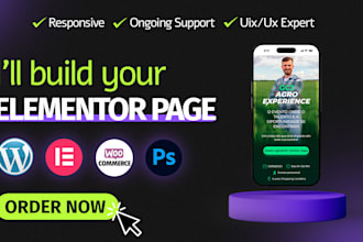 build elementor page, rebuild, design, redesign, clone, edit, revamp or fix