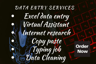 do data entry, internet research, copy paste, and typing services
