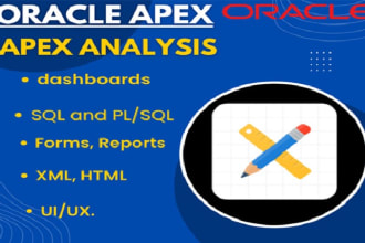 develop or customized oracle apex applications