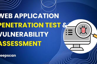 do penetration testing and vulnerability assessment for web application