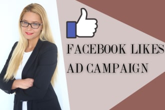 set up a facebook ad campaign to grow page likes