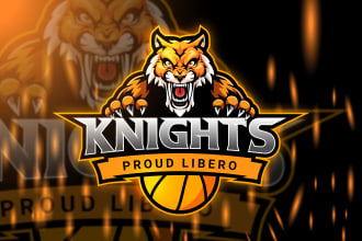 redesign basketball, hockey, football, team, league, tournament and sports logo