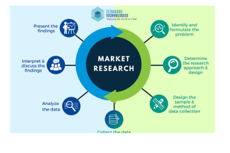 do comprehensive market research, business plan, and feasibility study
