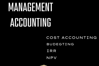 do your costing budgeting forecasting management dcf npv irr projects