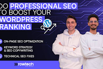 do professional SEO to boost your wordpress ranking
