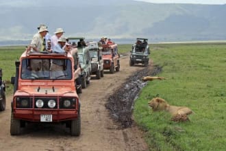 help to get tanzanian residency permits and visa