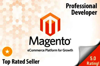 work, fix or customize your magento 2 website