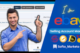 manage your ebay accounts
