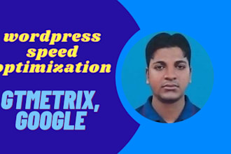 wordpress website speed optimization increase google pagespeed