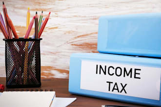 do income tax return and tax audit