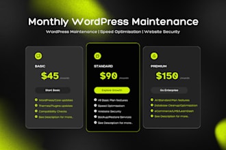 do monthly wordpress maintenance and speed optimization