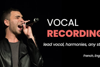 be your male singer and record pro lead and harmony vocals, any genre