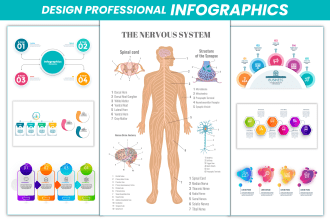 design unique infographic flow chart roadmap and  medical infographic