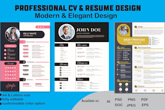 design a professional cv, resume, cover letter