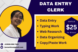 be your detail oriented data entry clerk