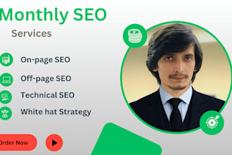 provide affordable monthly SEO packages or services, all in one services