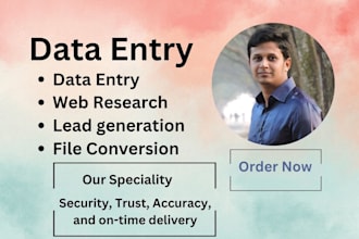 be your virtual assistant for data entry, web research, and file conversion