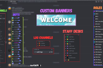 setup and manage a professional discord server