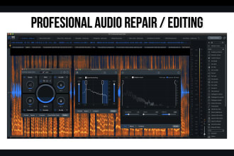 repair, clean and mix your audio files