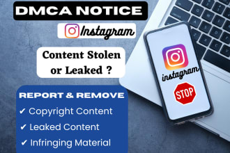 draft an instagram dmca notice to remove copyright or leaked content