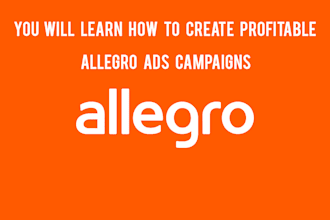teach you to set up a profitable allegro ads campaign