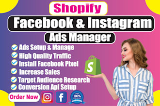 setup run shopify facebook ads,instagram ads campaign,fb marketing manager