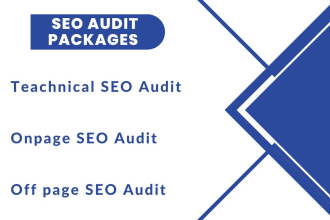 do website audit manually analyze website and create report