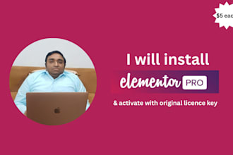 install elementor pro and activate the original licence key