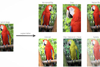 do data annotation, augmentation and manipulation on images dataset
