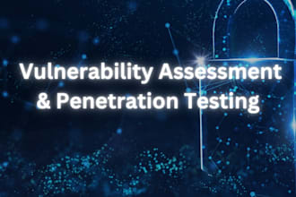 conduct vapt testing on your web application