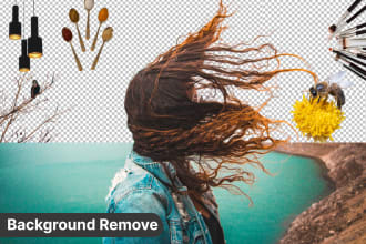 remove object fast  removal or photo background removal