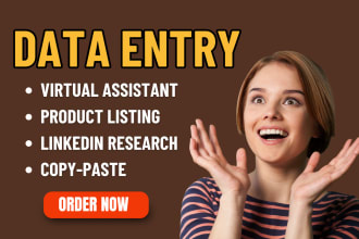 do data entry operator, PDF to excel, typing works, copypaste, data entry gig