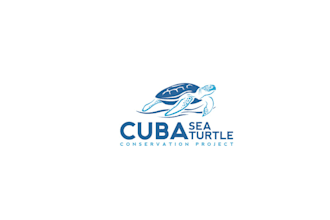 design exquisitely helpful sea turtle conservation logo