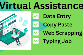 do data entry typing work in excel spreadsheet