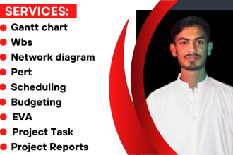 create network diagram, gantt charts, and wbs in ms project and excel