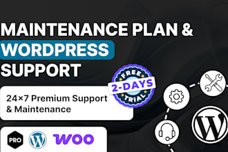 provide monthly wordpress maintenance, updates, and security