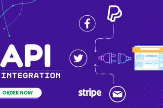 be your API integration specialist