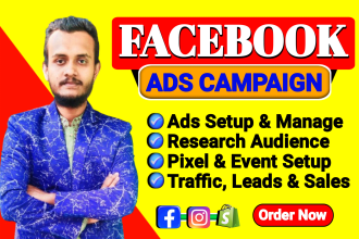 setup and manage facebook and instagram ads campaign for quality leads and sales