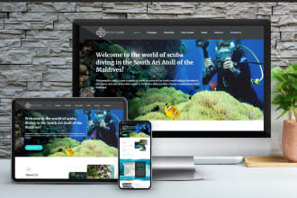 design, redesign, develop a business website in 10 hours