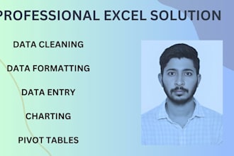 organize, rearrange, format, merge, clean and  split your excel and CSV data
